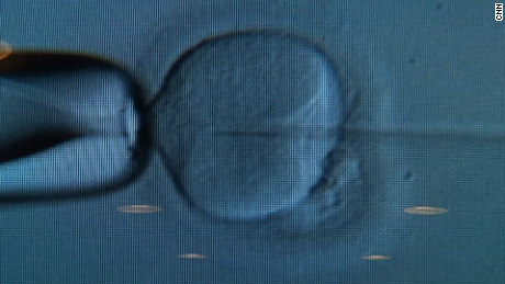 More than 4,000 eggs and embryos lost in Cleveland fertility clinic tank failure