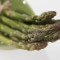 lustful asparagus