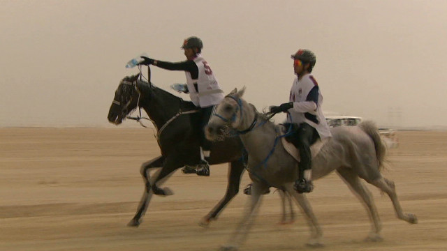 Endurance horse racing in the desert 