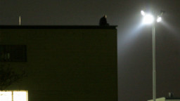 A convicted child molester on the roof of a prison in Dresden, Germany.