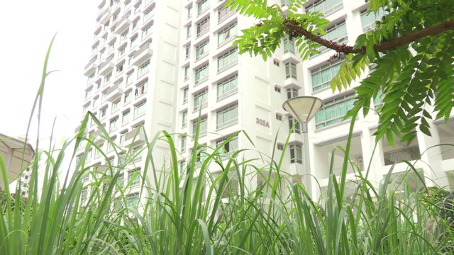 neisloss singapore eco housing_00004611