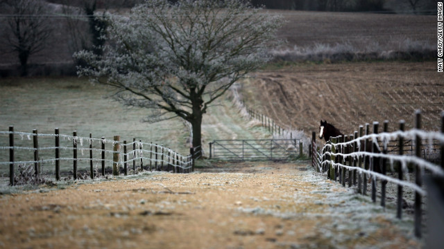 Lookin&#39; hoary.