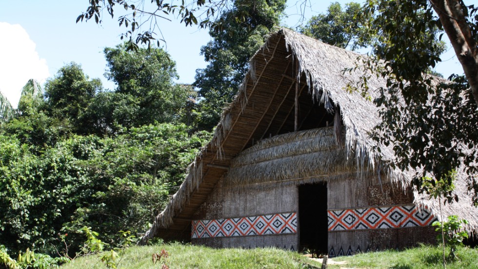A hut belonging to indigenous tribe along the Rio Negro river.