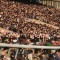 japanese horse racing fans