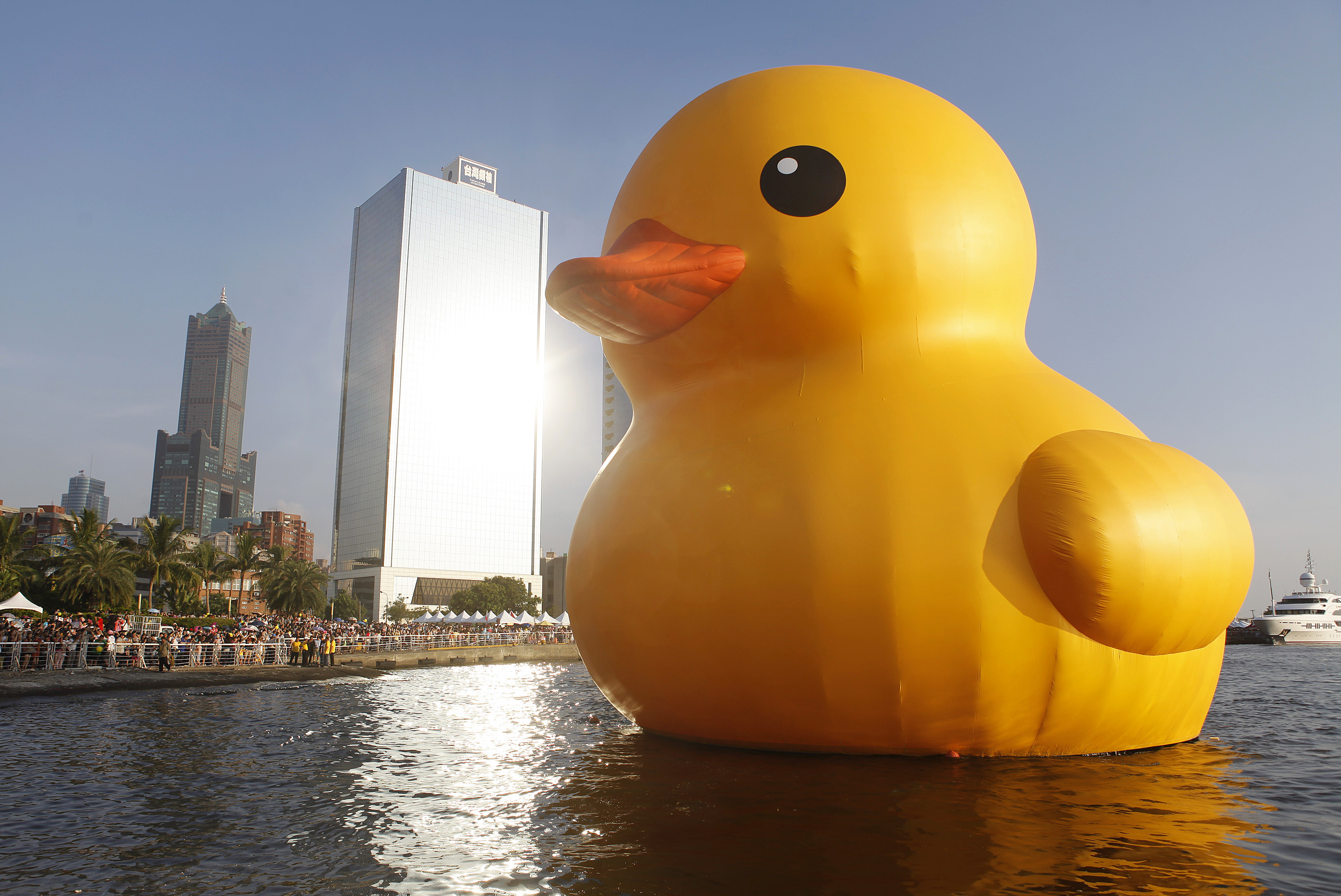 rubber duck