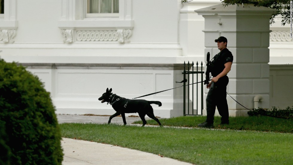 A member of the U.S. Secret Service counter-assault team patrols the grounds of the White House October 3 in Washington.