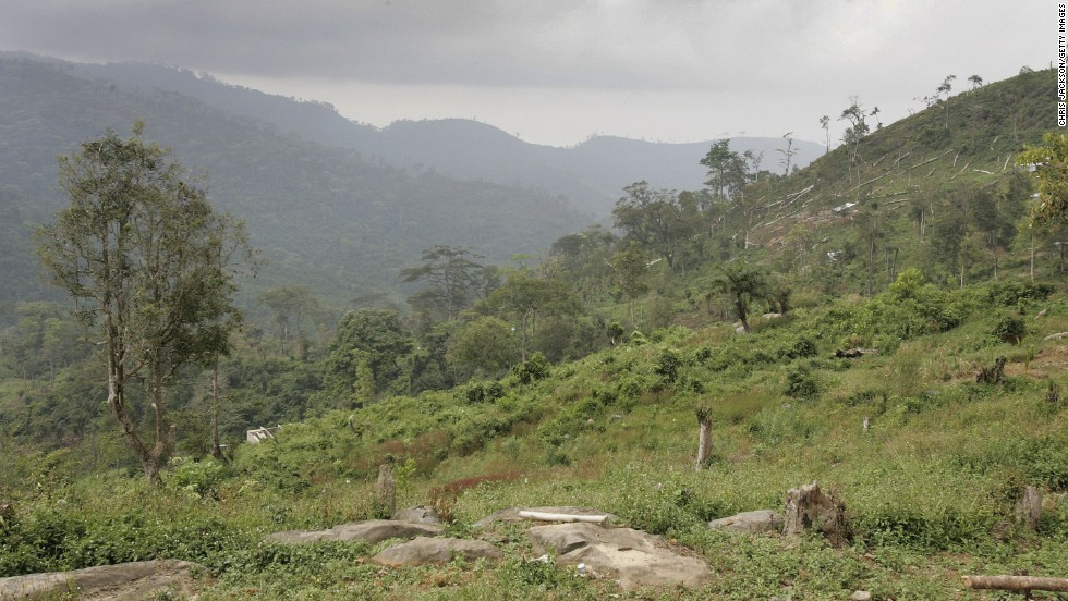 Felled trees lie on the mountainside just outside Freetown. African countries account for 14 of the 20 most at-risk nations.