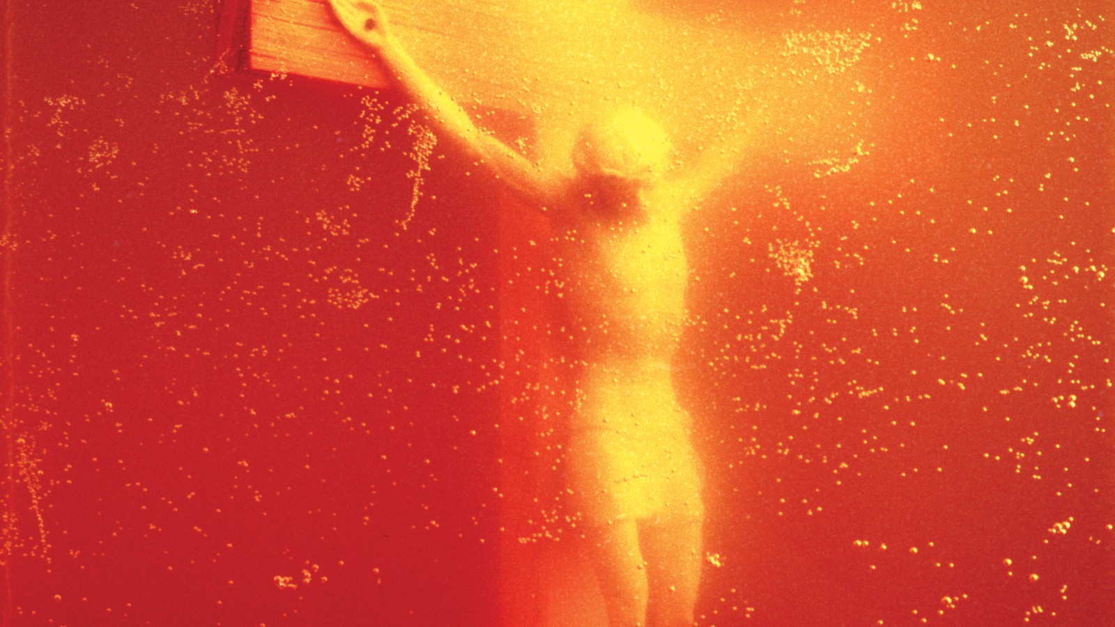 Nea piss christ