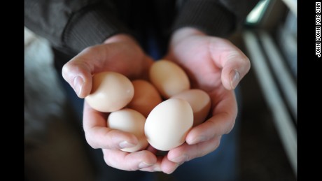 One egg a day could reduce your risk of heart disease, study finds