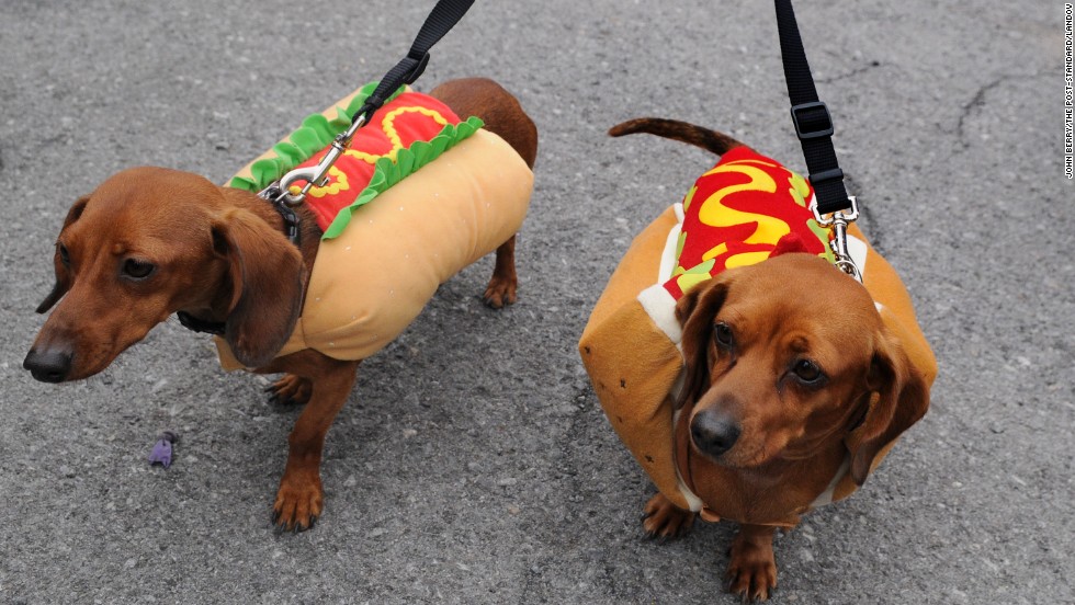 Happy National Hot Dog Day CNN