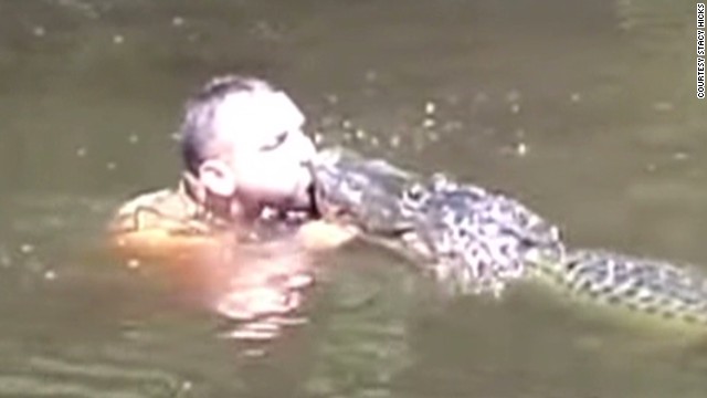 Man Mouth-feeds Marshmallows To Gators - Cnn Video