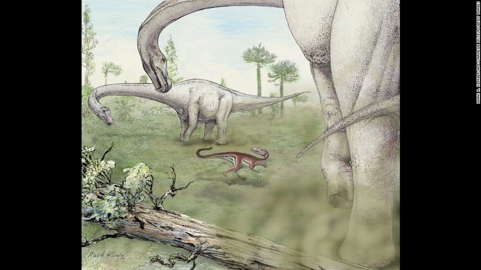 dreadnoughtus dinosaur