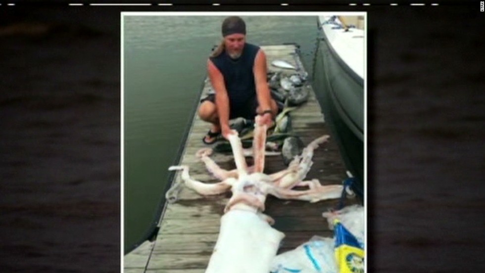 Fisherman Catches Giant Pound Squid Cnn Video