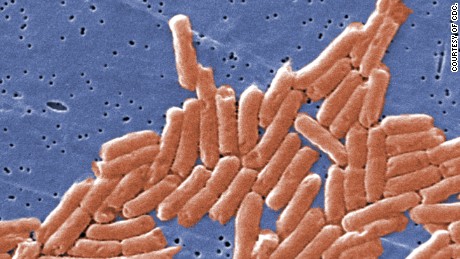 Salmonella Fast Facts