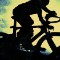 crowhurst bike