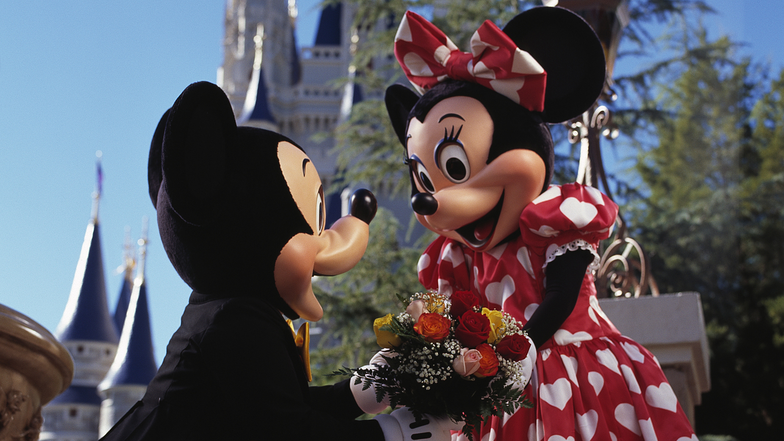 Top Places To Propose According To Youtube Postings Cnn Travel