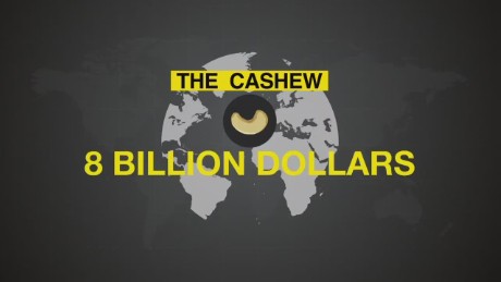 spc africa view ivory coast cashew nuts_00000828.jpg