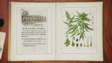 history medical marijuana orig nws_00003424.jpg