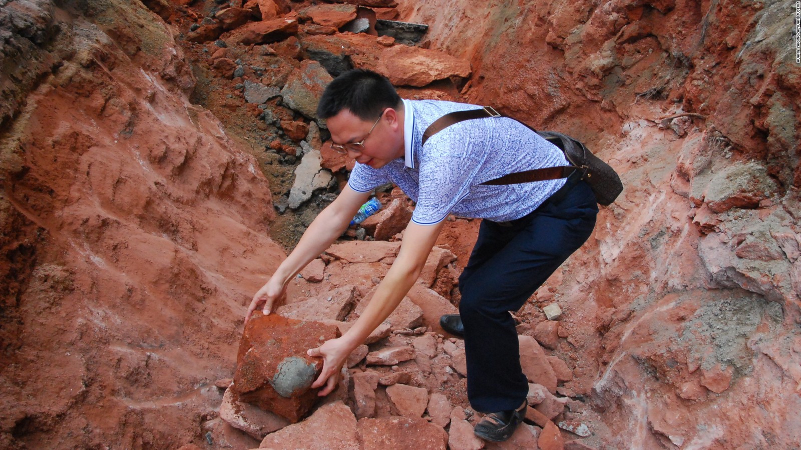 chinese dinosaur eggs