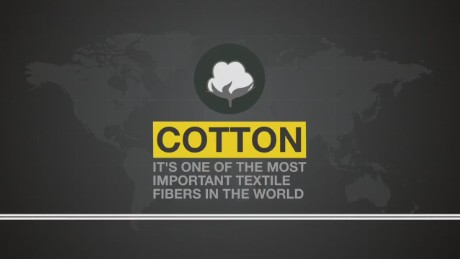 spc africa view mali cotton_00001030.jpg