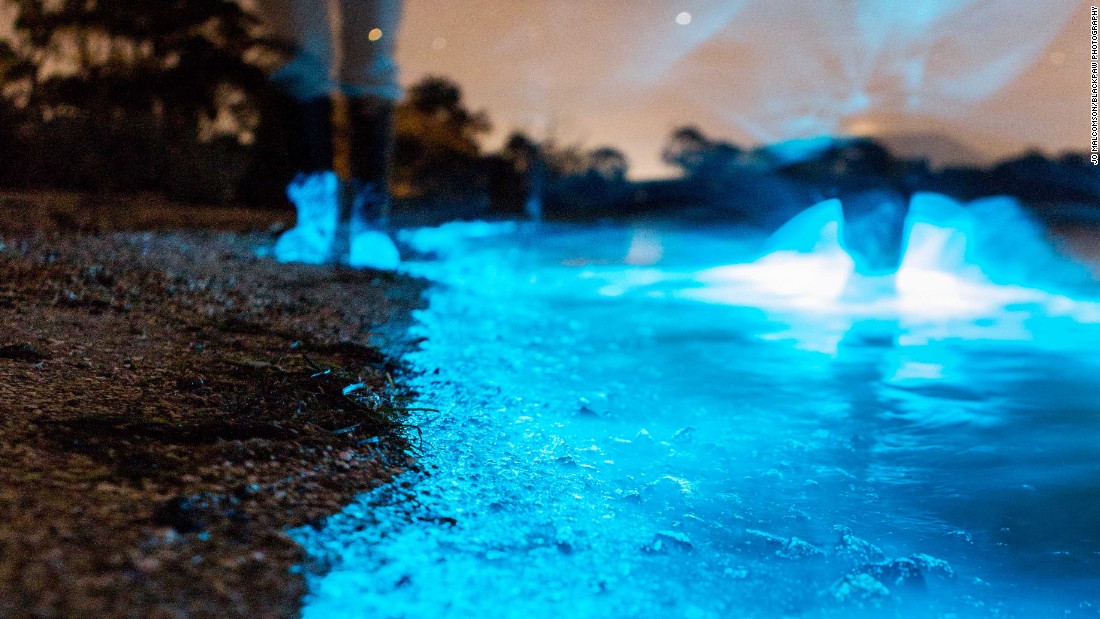 Bioluminescence turns Australia's shores bright blue CNN