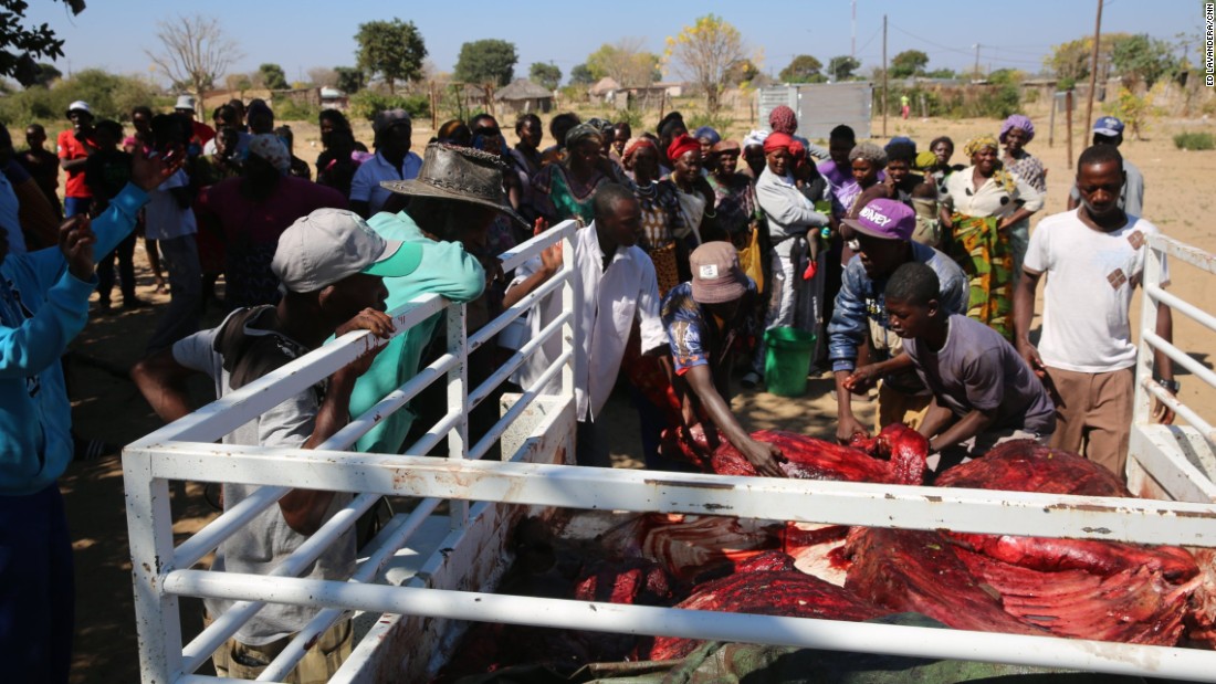 Namibian village gets meat from hunted black rhino - CNN