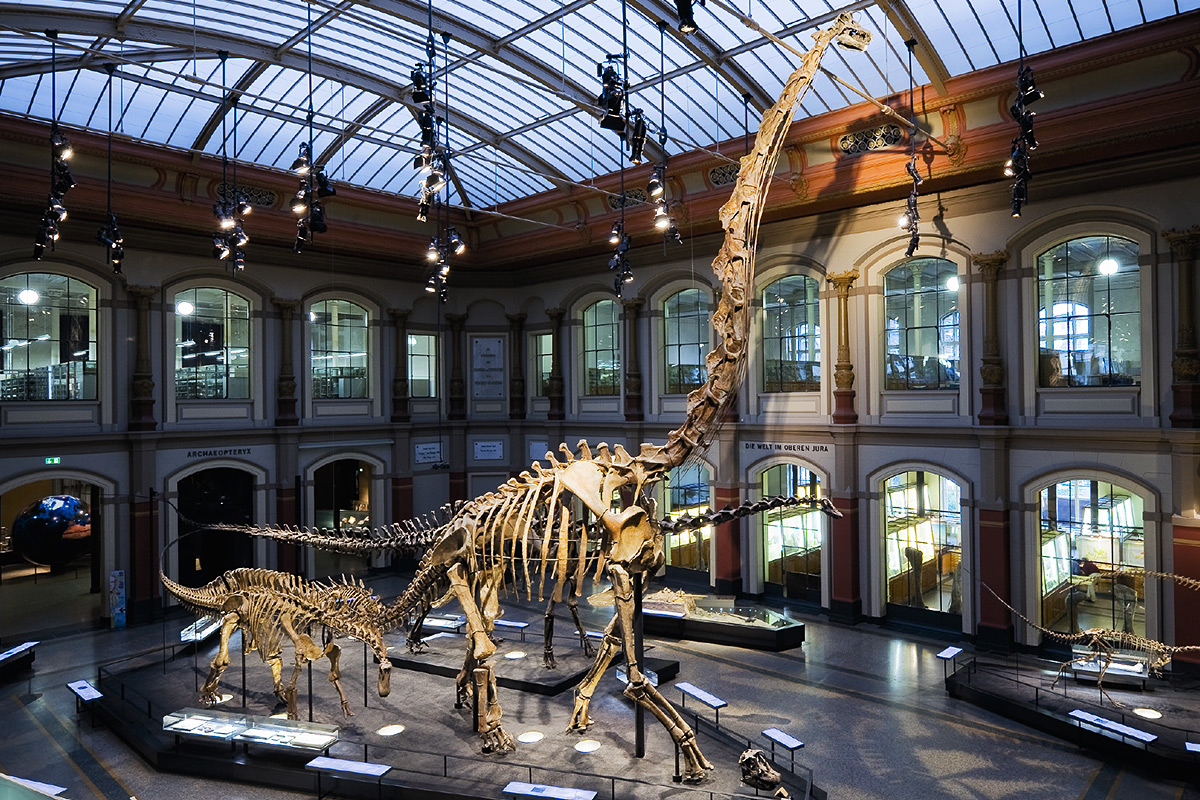 erwt Welsprekend douche 10 of the world's best dinosaur museums | CNN Travel