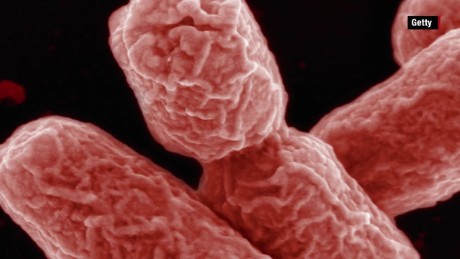 Some facts about the epidemics of E. coli