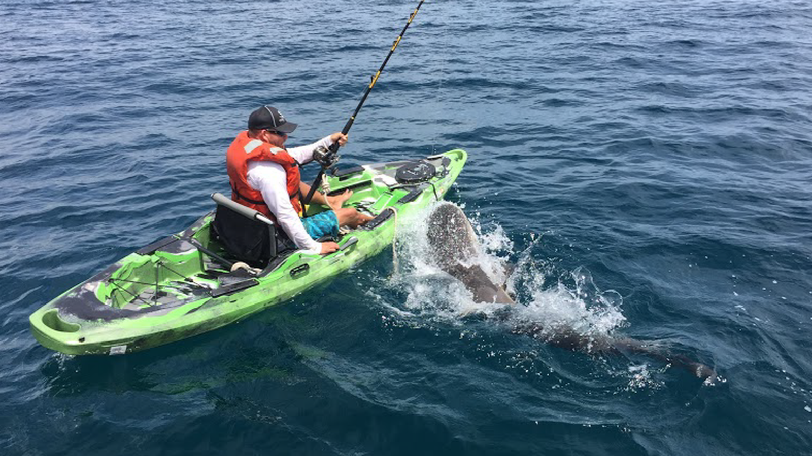 Watch Shark Flip Over Kayaker CNN Video