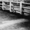 12 hiroshima 70th anniversary photos RESTRICTED