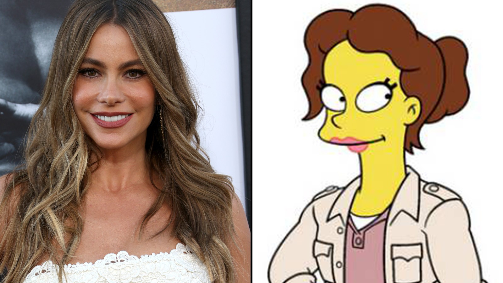 Simpsons Celebrity Costars 