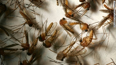 West Nile Virus Fast Facts