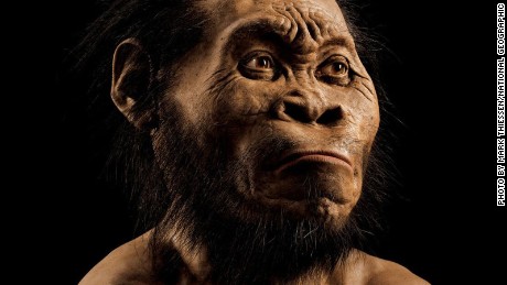 Homo naledi: New species of human ancestor discovered in South Africa