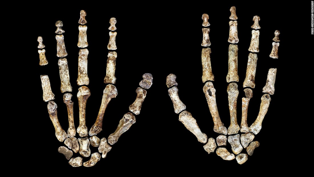 Homo Naledi New Species Of Human Ancestor Discovered Cnn 2013