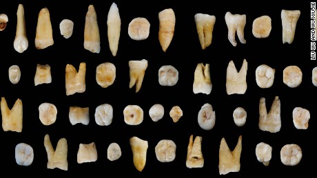 Ancient teeth found in China challenge modern human migration theory