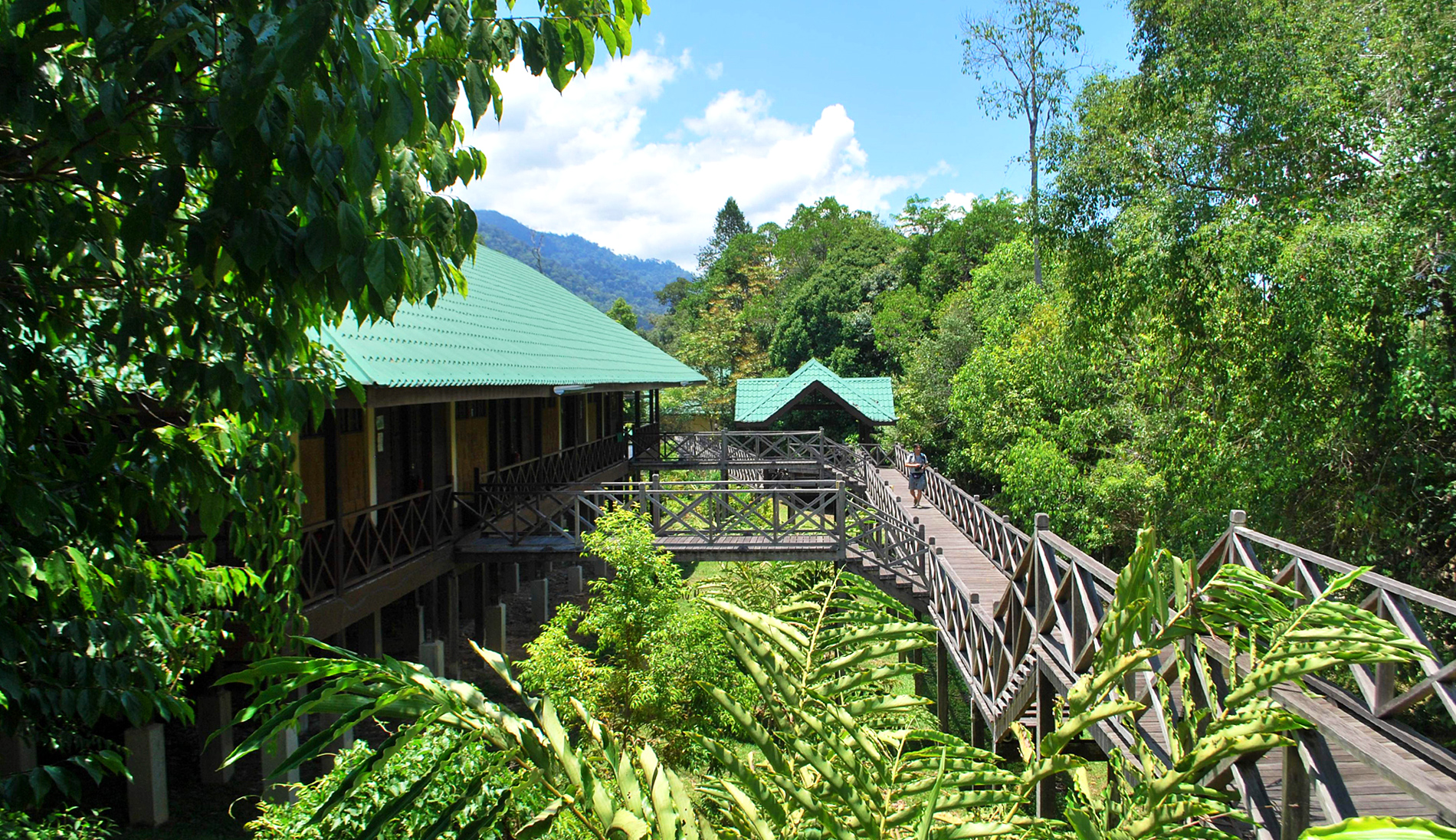 Featured image of post Jungle Hotel Malaysia : *luxury boat hotel by jordi puig* this hotel is located on a boat;