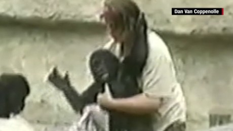 baby harambe gorilla killed cincinnati zoo mobile orig mss_00000305.jpg