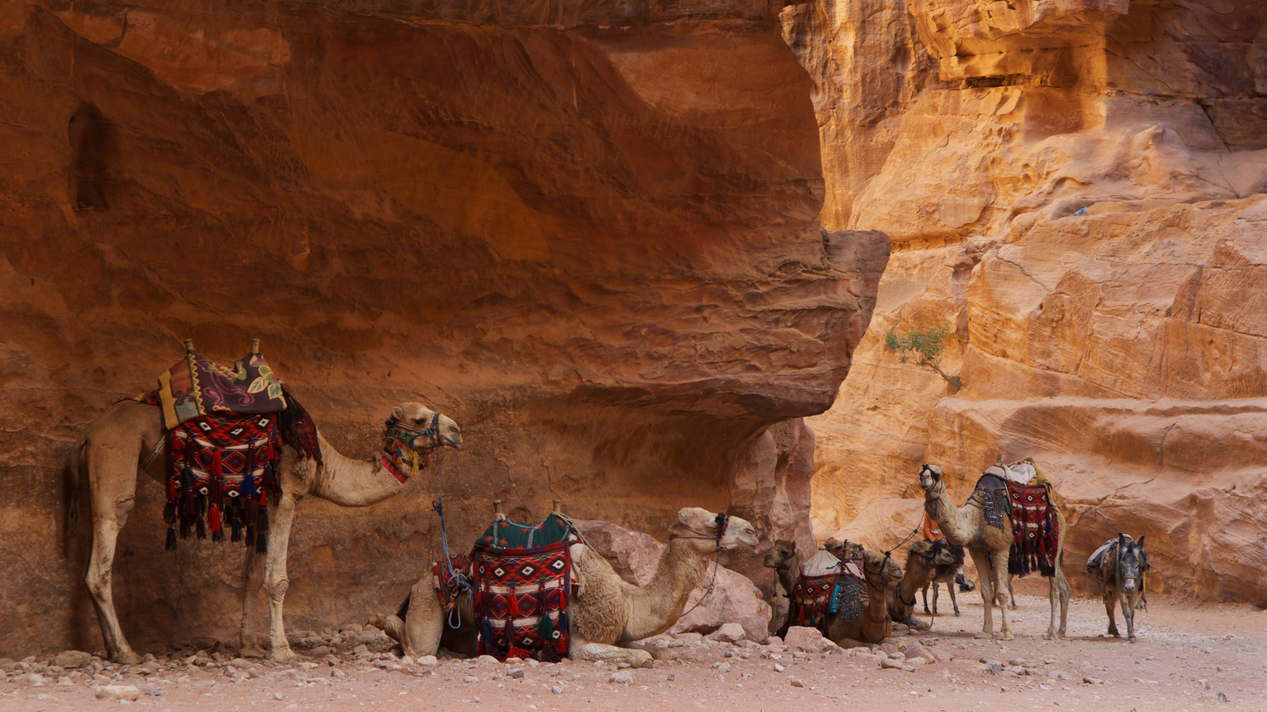 In Petra, 'massive' in Jordan's desert | CNN Travel