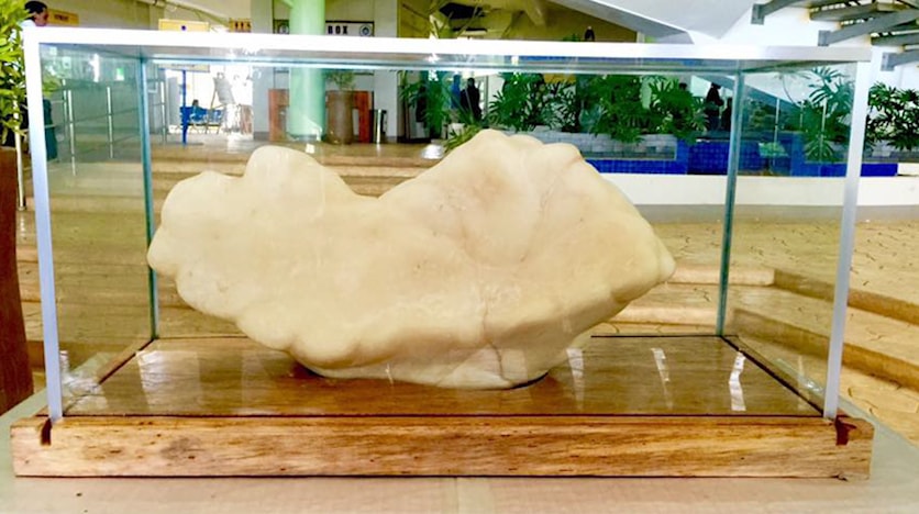 World's largest pearl sits under a bed 