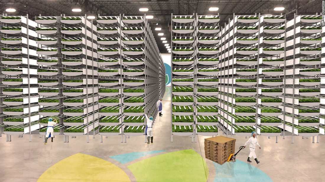 World's largest Indoor vertical farm to produce greens ...