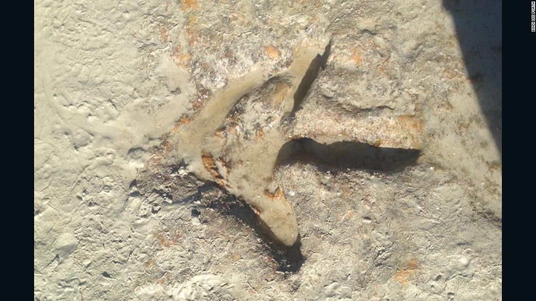 dinosaur footprints compton bay