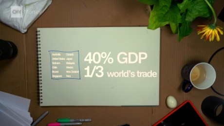 TPP Explainer