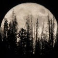 13 Super Moon 2016