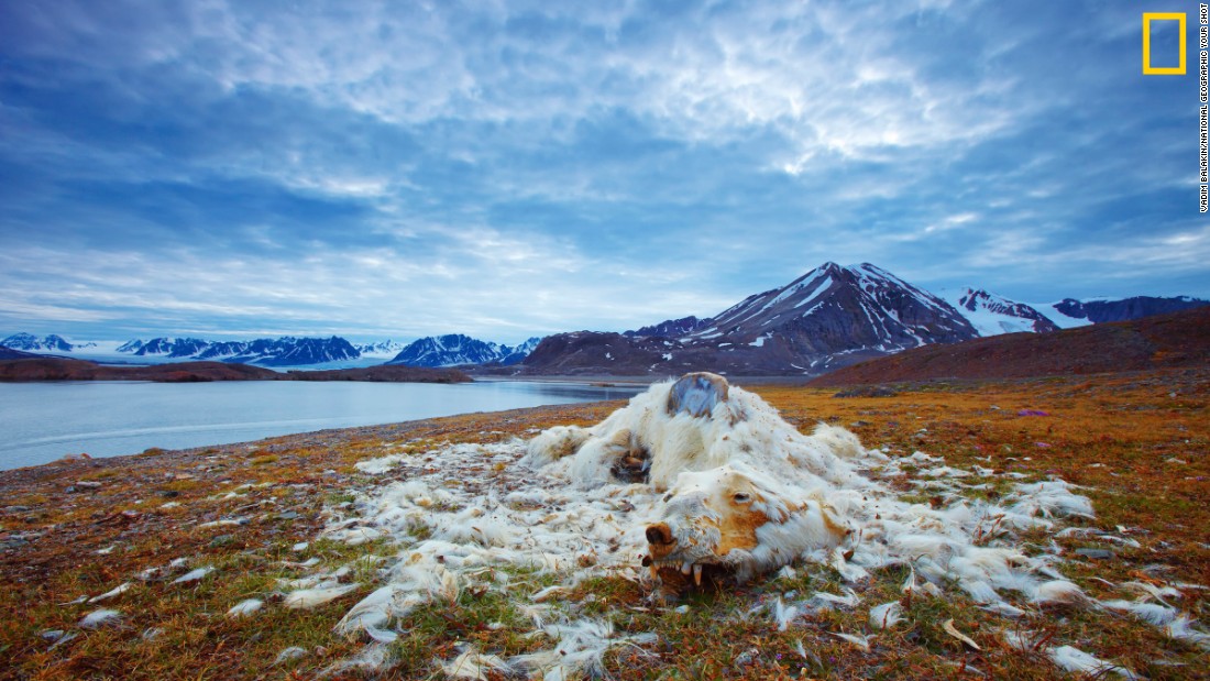 Breathtaking Photos Show Effects Of Climate Change