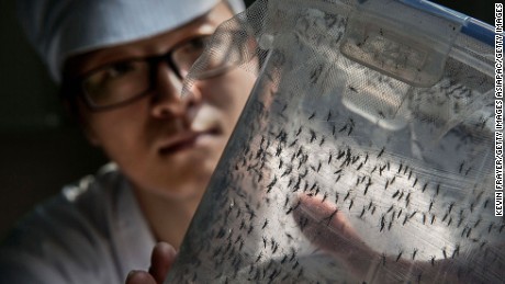 Inside China, the mosquito factory & # 39; fight Zika and dengue fever