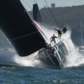 Perpetual Loyal  sydney hobart race