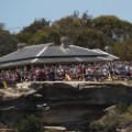 fans watch sydney hobart race