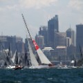 wild oats start sydney hobart race