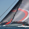 scallywag sydney hobart race