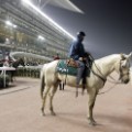 Meydan Grandstand